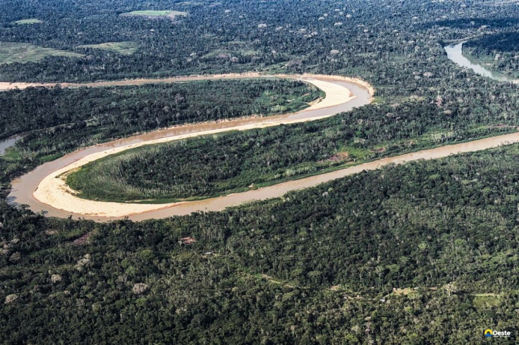 Holanda anuncia US$ 500 milhões em fundo florestal criado pelo Brasil