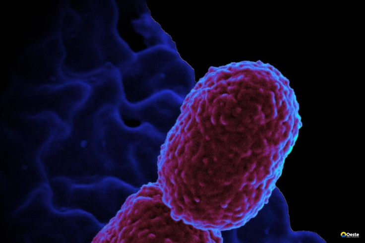 Hospital em Campinas restringe atendimento para conter superbactéria