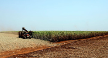IBGE prevê safra recorde de 346 milhões de toneladas em 2025