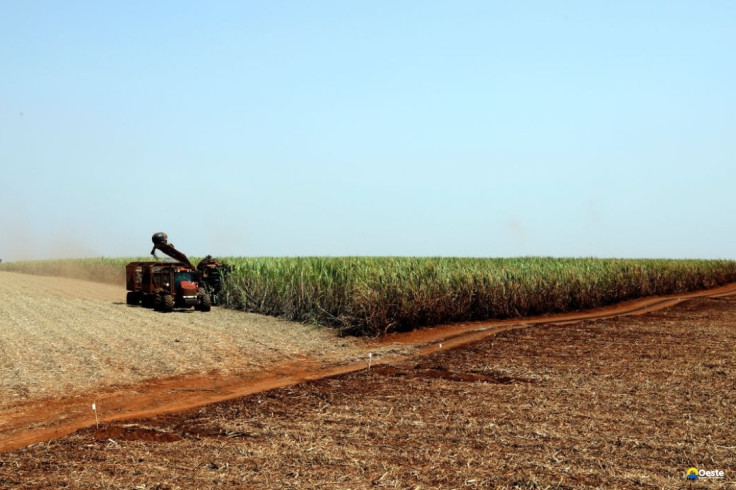 IBGE prevê safra recorde de 346 milhões de toneladas em 2025