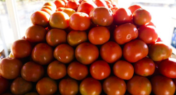 Inflação da comida em casa cai 0,2% em novembro, sexto recuo seguido