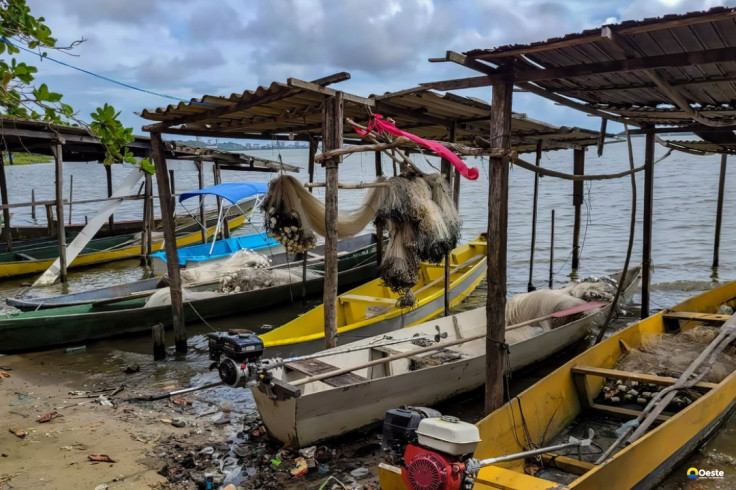 Início do defeso da piracema restringe pesca comercial no país
