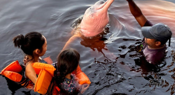 Insegurança é barreira para 62% das mulheres viajarem sozinhas