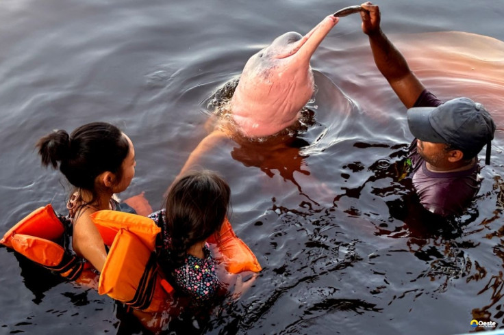 Insegurança é barreira para 62% das mulheres viajarem sozinhas
