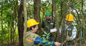 Itaipu triplica diversidade florestal nos arredores do reservatório