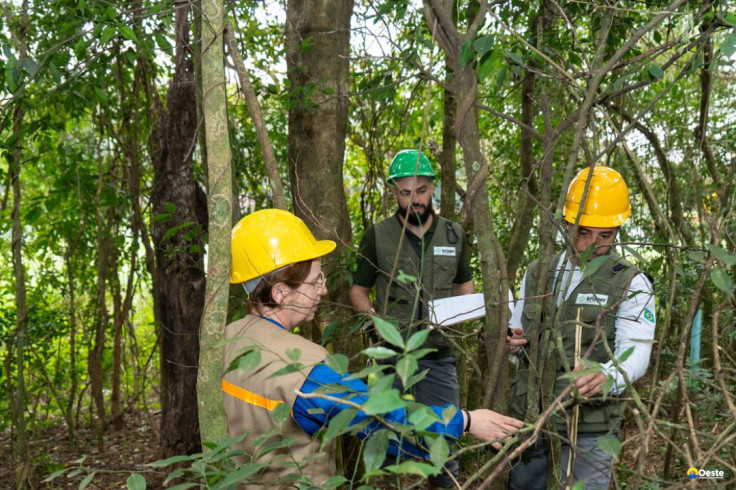 Itaipu triplica diversidade florestal nos arredores do reservatório
