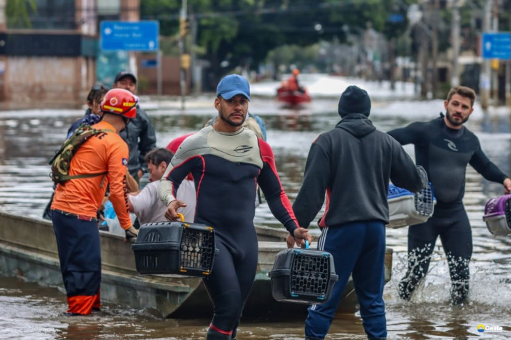 Lei cria Política de Acolhimento para animais resgatados em desastres