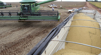 Lei que pune participantes da Moratória da Soja volta a valer em MT