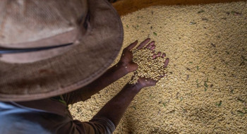 Livro aborda produção sustentável em meio à mudança climática