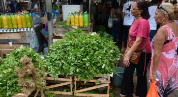 Mercado do Povo levará mercados modulares a pequenas cidades