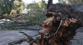 MIDR reconhece situação de emergência em 21 municípios