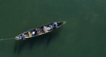 Ministério da Pesca cancela mais de 76 mil licenças de pescadores