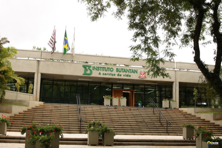 MS aprova parcerias para produção de medicamentos destinados ao SUS