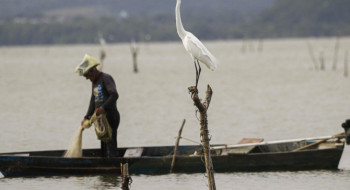 Mudanças aprovadas para o seguro-defeso previnem fraudes, diz relator