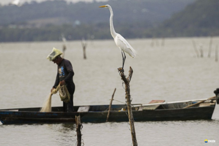 Mudanças aprovadas para o seguro-defeso previnem fraudes, diz relator