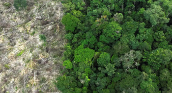 Mudanças climáticas já afetam cotidiano da população na Amazônia Legal
