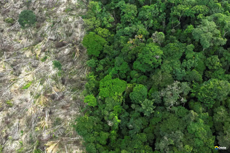 Mudanças climáticas já afetam cotidiano da população na Amazônia Legal