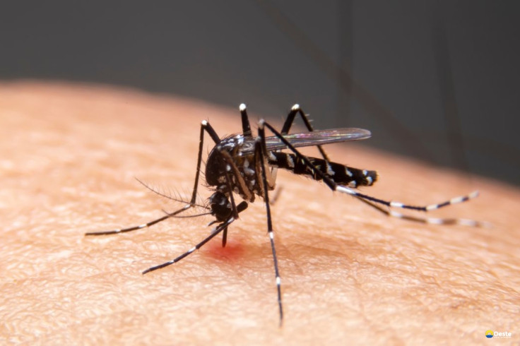 Mudanças climáticas já causam aumento de doenças infecciosas no país