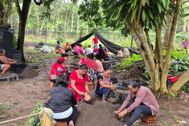 Mulheres da Amazônia se unem para enfrentar as mudanças climáticas