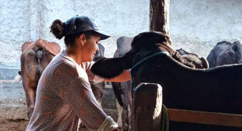 Mulheres rurais enfrentam informalidade e desigualdade no campo