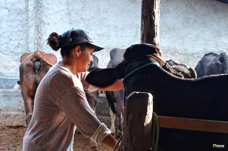 Mulheres rurais enfrentam informalidade e desigualdade no campo
