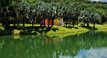 Museu Inhotim, em Minas Gerais, tem recorde de visitação em 2025
