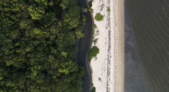 “Não existe Planeta B”, alerta astrofísico às vésperas da COP30