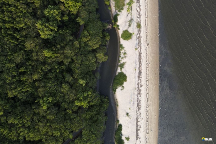 “Não existe Planeta B”, alerta astrofísico às vésperas da COP30