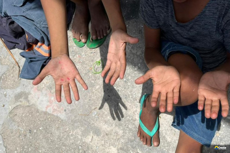 ONG alerta para alta do trabalho infantil entre crianças de 5 a 9 anos