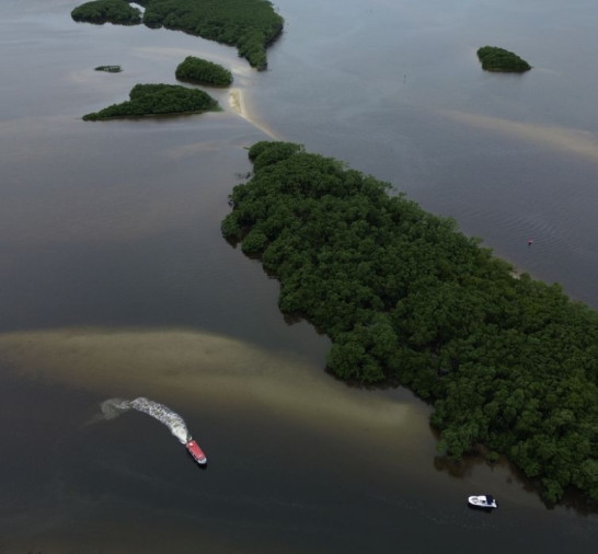 Países consideram insuficientes ações contra crise da biodiversidade