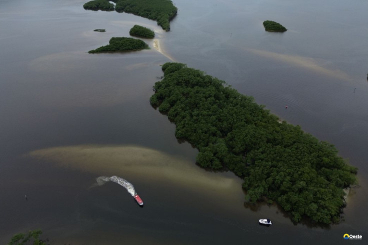 Países consideram insuficientes ações contra crise da biodiversidade