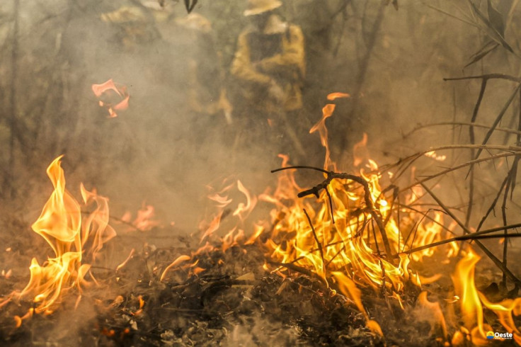 Pantanal é o bioma mais atingido pelo aumento da temperatura no país