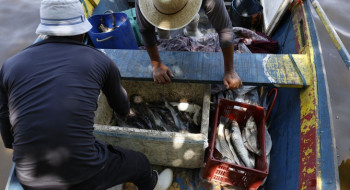 Pescadores beneficiados pelo Seguro-Defeso recebem 6º lote nesta terça