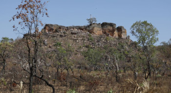 Pesquisa com IA identifica terras agrícolas abandonadas no Cerrado
