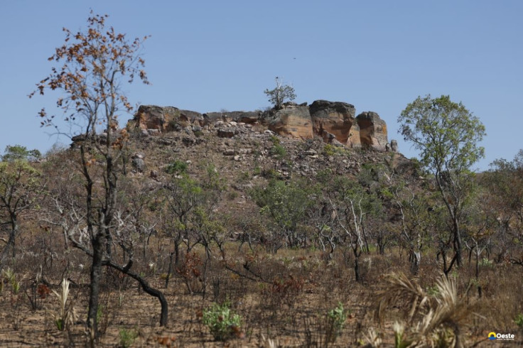 Pesquisa com IA identifica terras agrícolas abandonadas no Cerrado