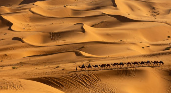 Pesquisa prevê mudanças no clima do Deserto do Saara nos próximos anos