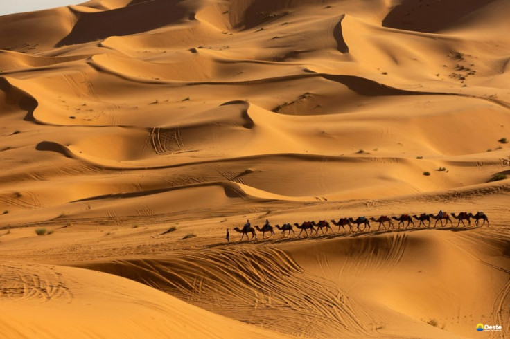 Pesquisa prevê mudanças no clima do Deserto do Saara nos próximos anos