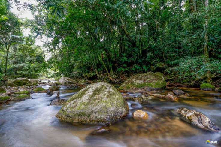 Plano busca fortalecer Sistema Nacional do Meio Ambiente até 2036