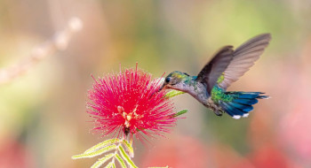 Primavera começa com ondas de calor e baixa umidade no país
