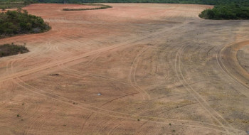 Processadoras de soja deixam acordo sobre desmatamento na Amazônia