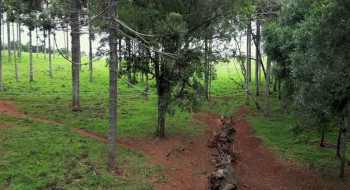 Produção inédita resgata histórico Caminho do Peabiru na TV Brasil