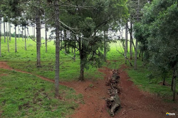 Produção inédita resgata histórico Caminho do Peabiru na TV Brasil