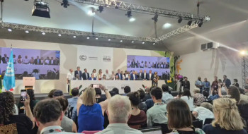 Professor defende que Brasil dê exemplo com Mapa do Caminho