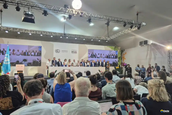 Professor defende que Brasil dê exemplo com Mapa do Caminho