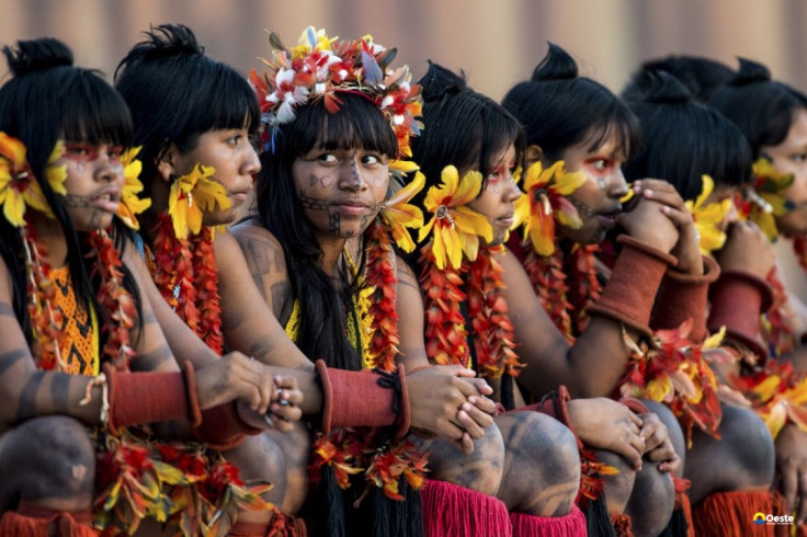 Programa de saúde do governo já atendeu mais de 24 mil indígenas