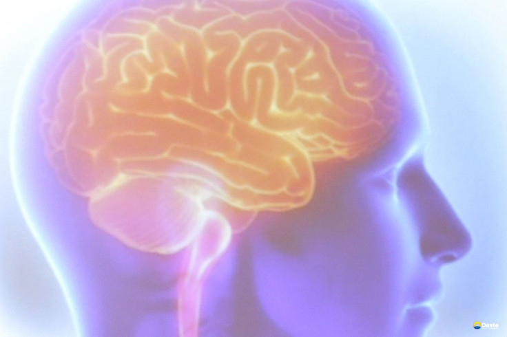 Projeto Ártemis avalia genética de pacientes que sofreram AVC