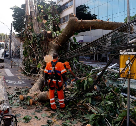 Rede elétrica mais resiliente requer investimento de concessionárias