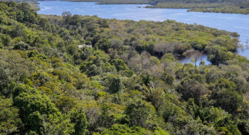 Revista The Economist elogia ações do Brasil para salvar as florestas