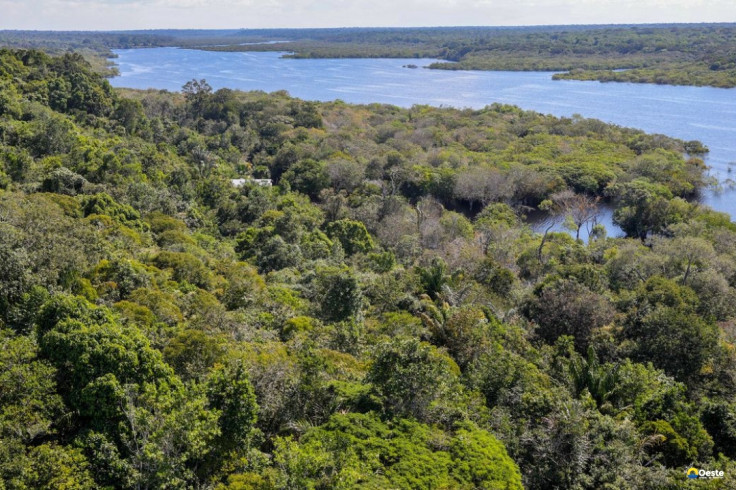 Revista The Economist elogia ações do Brasil para salvar as florestas