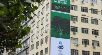 Rio lança painel para população acompanhar plantio de árvores